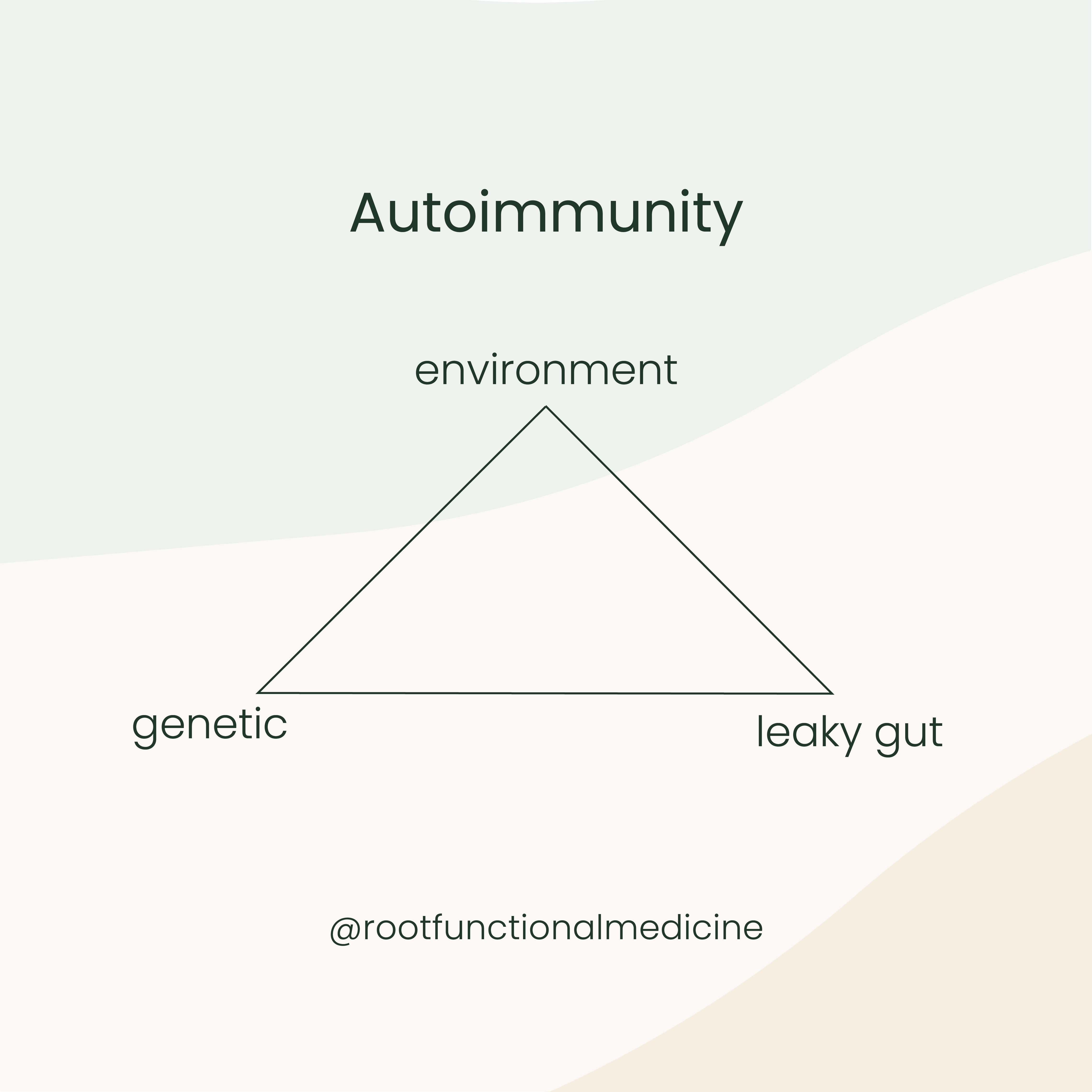 autoimmune triangle