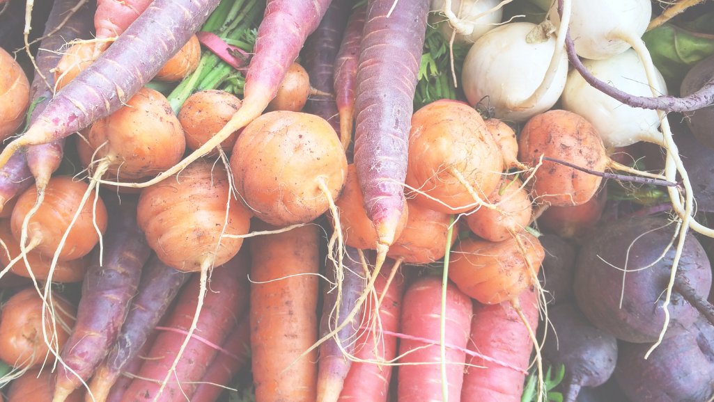 bright colored root vegetables