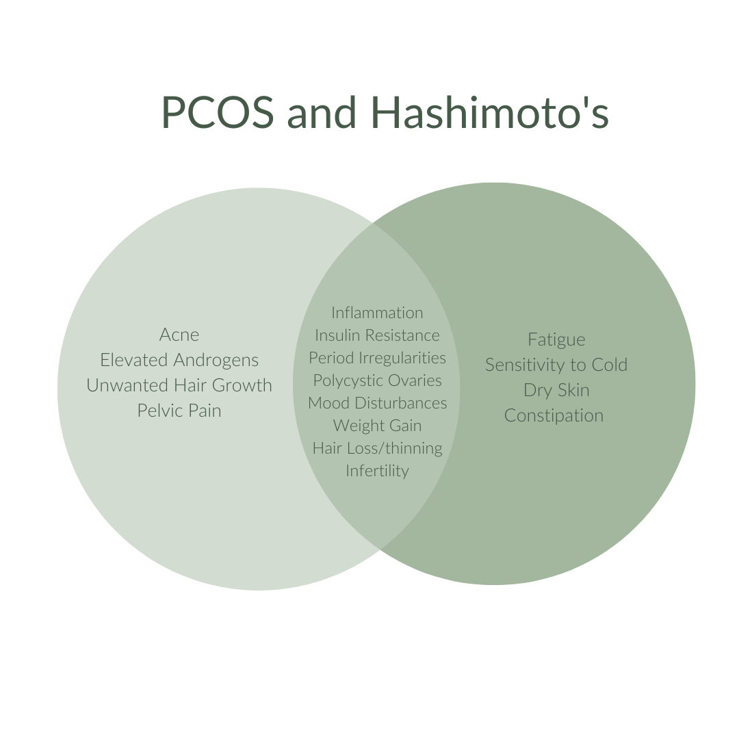 pcos and hashimotos 