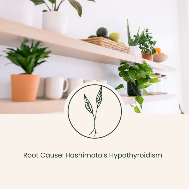 hashimotoshypothyroidism